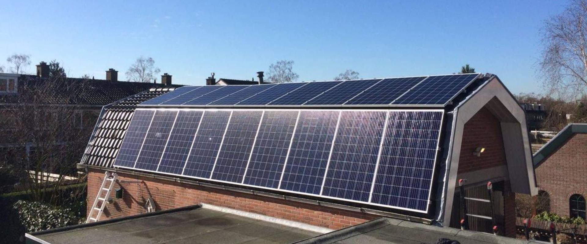 Zijn trina zonnepanelen monokristallijn?